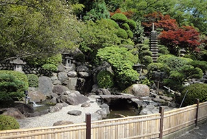 緑に囲まれた苑内の日本庭園